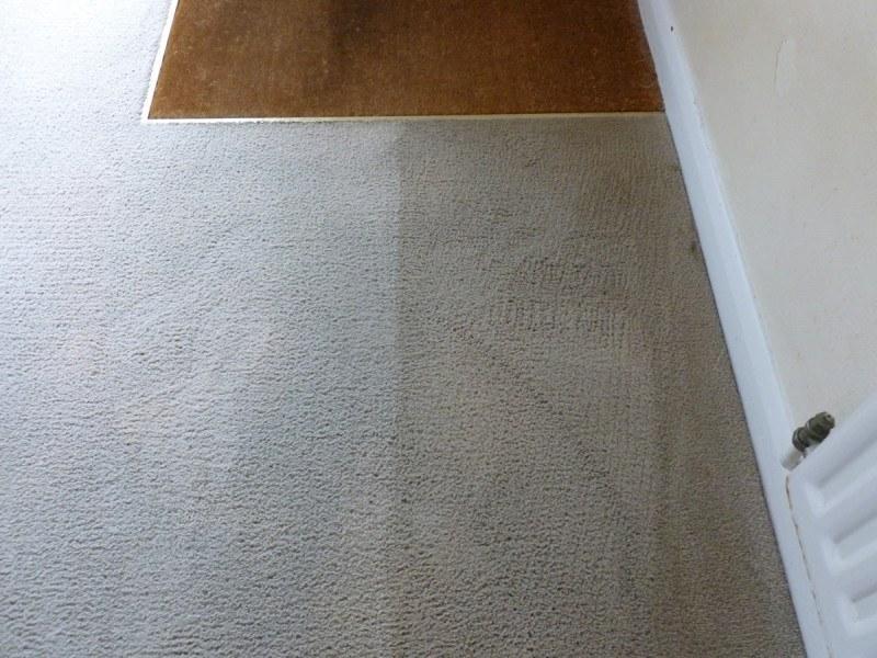 Carpet cleaning Bishopsteignton