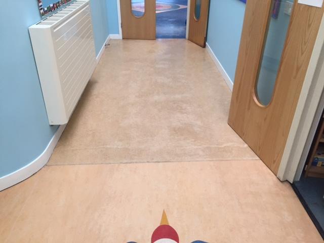 floor cleaning teignmouth