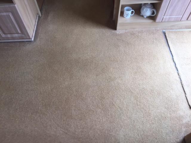 carpet cleaning newton abbot