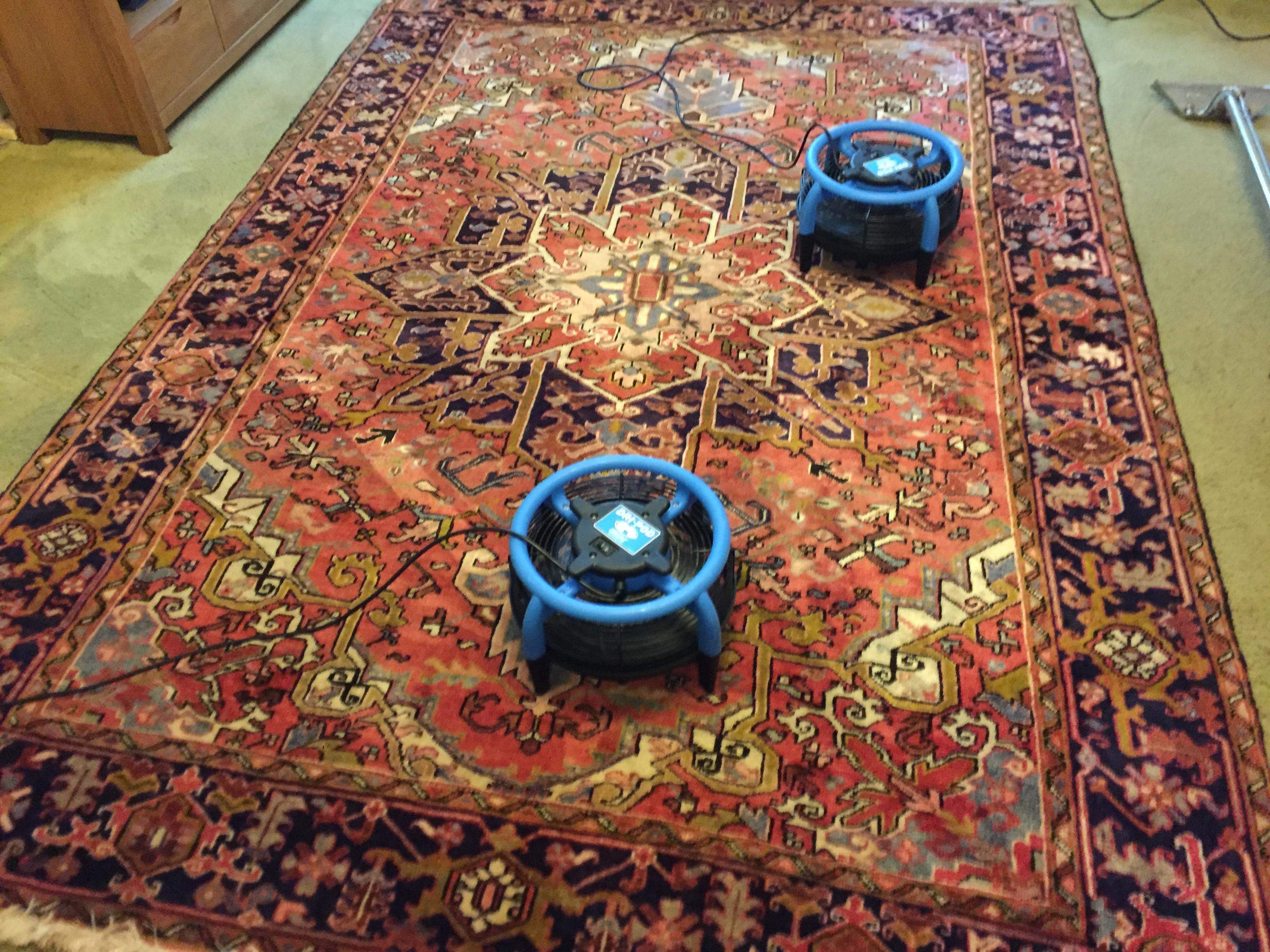 Oriental rug cleaning Topsham